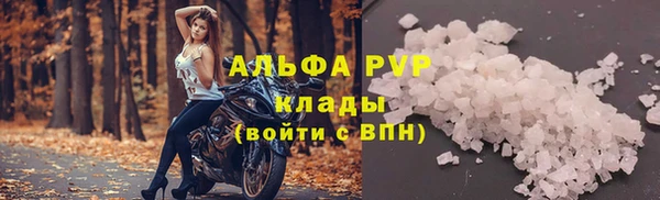 гидра Абаза