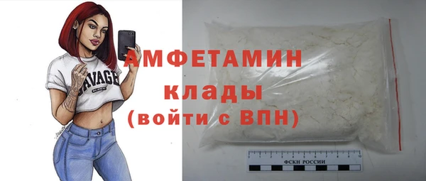 гидра Абаза