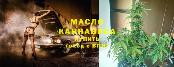 гидра Абаза