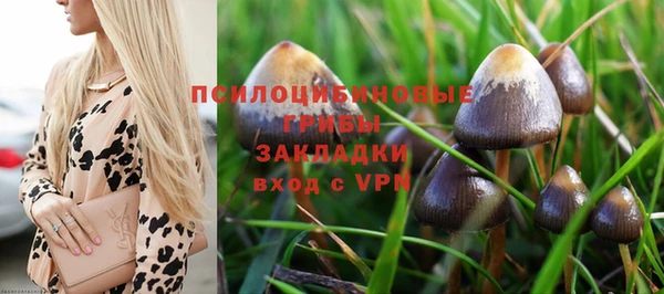 тгк Абдулино