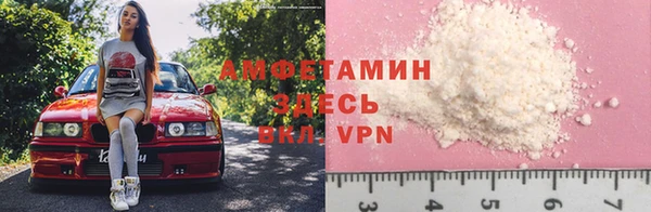 гидра Абаза